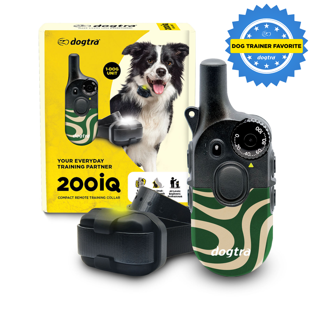 200iQ CAFE SWIRL – Dogtra.com