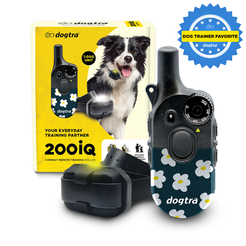 200iQ FLOWER POWER – Dogtra.com