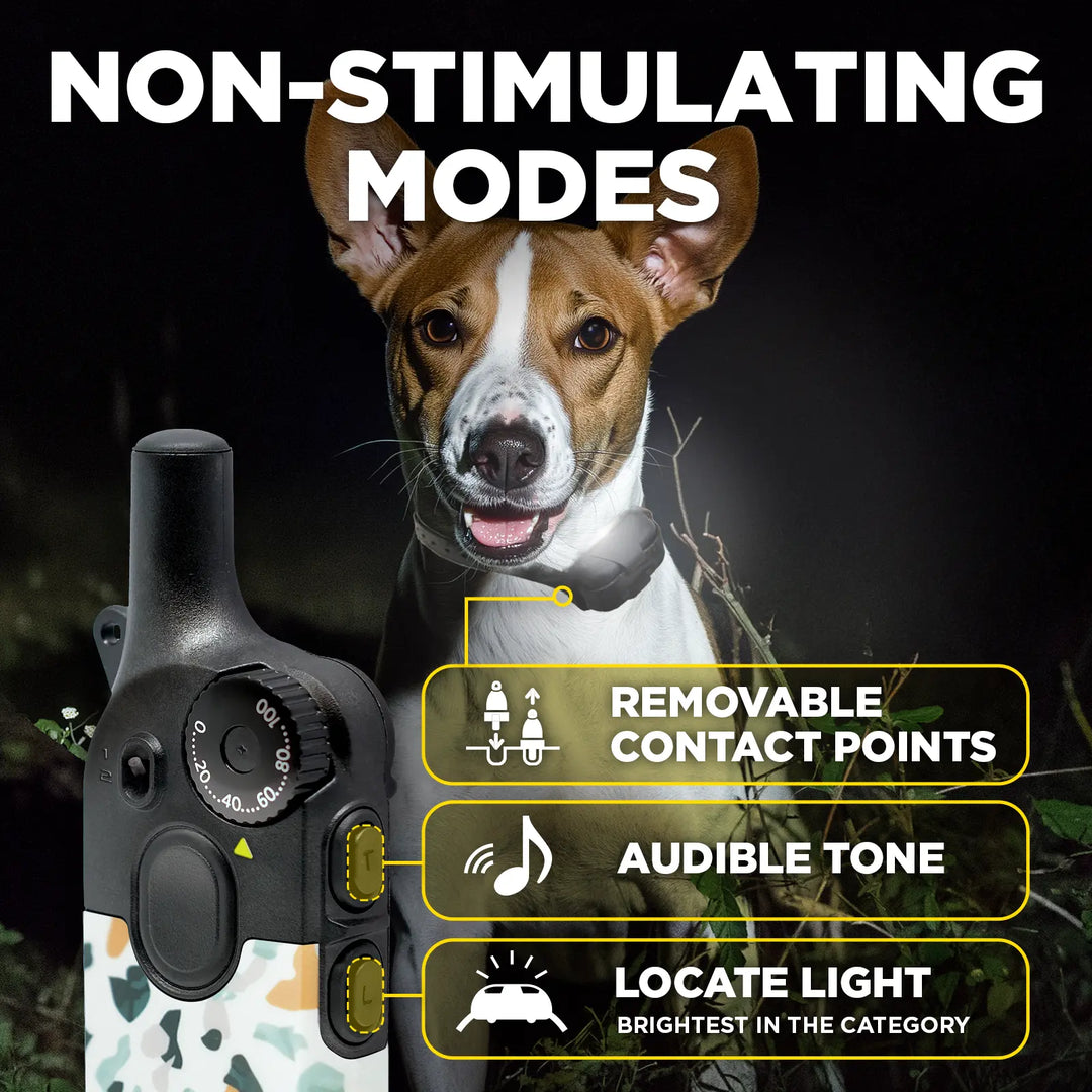 200iQ ORGANIC STONE