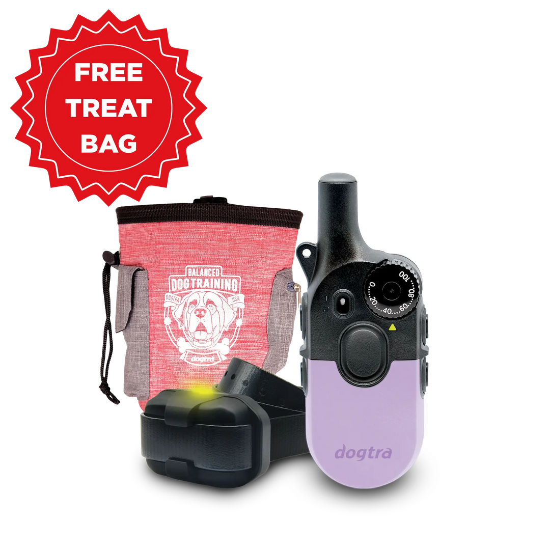 200iQ LAVENDER + FREE DOGTRA TREAT BAG