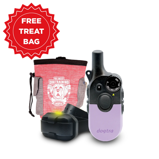 200iQ LAVENDER + FREE DOGTRA TREAT BAG