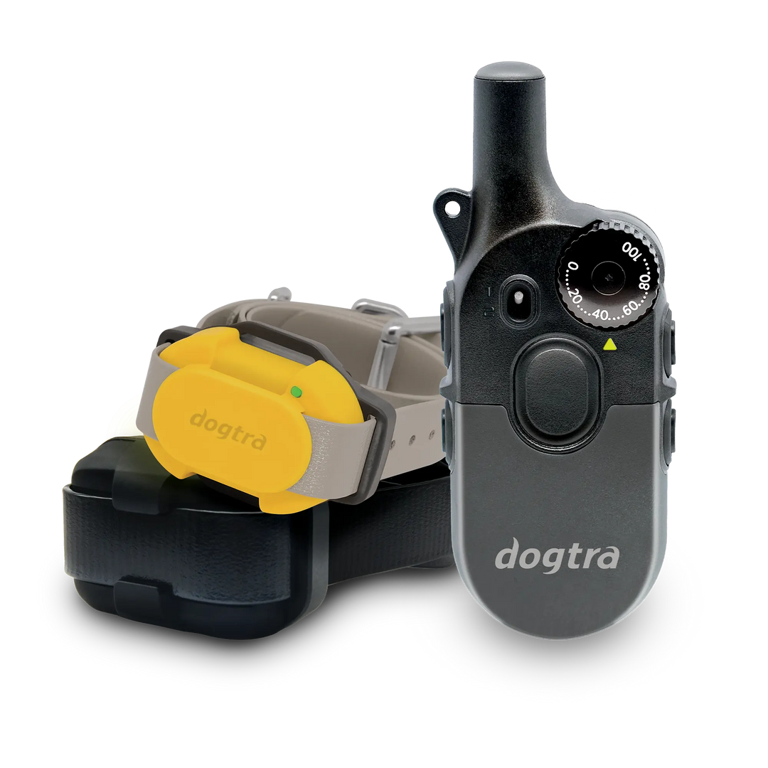 200iQ 2-Dog Bundle with CUE Yellow Receiver
