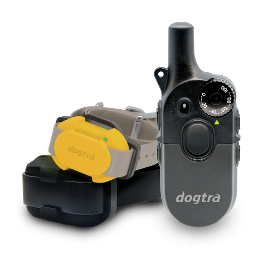 200iQ 2-Dog Bundle with CUE Yellow Receiver