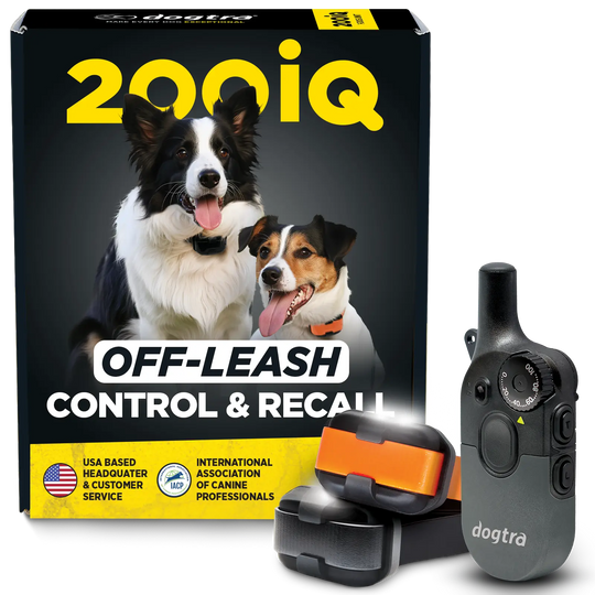 200iQ 2-DOG UNIT