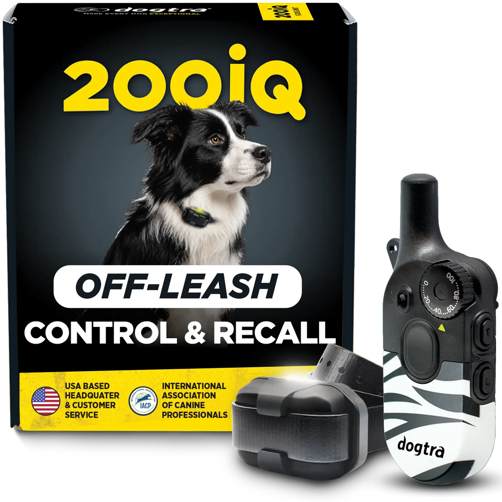 200iQ ZEBRA – Dogtra.com