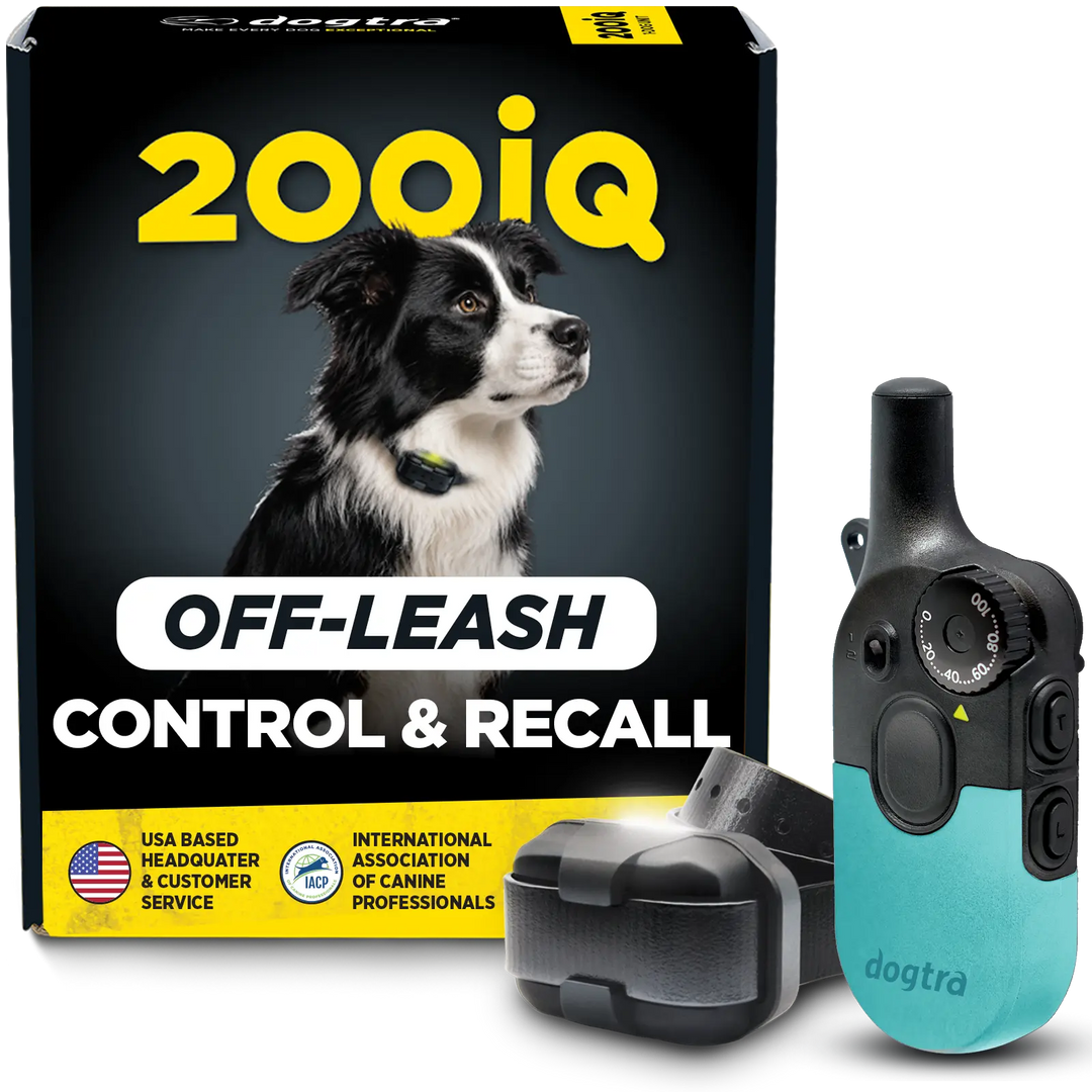 200iQ TEAL SLIP RESISTANT