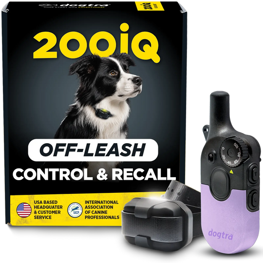 200iQ LAVENDER SLIP RESISTANT