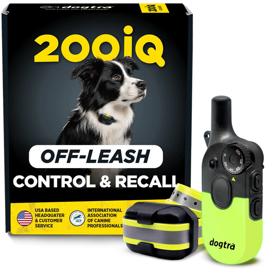 Dogtra 200iQ off-leash control and recall pet training device shown with its retail box, receiver, and the handheld transmitter on a white background.