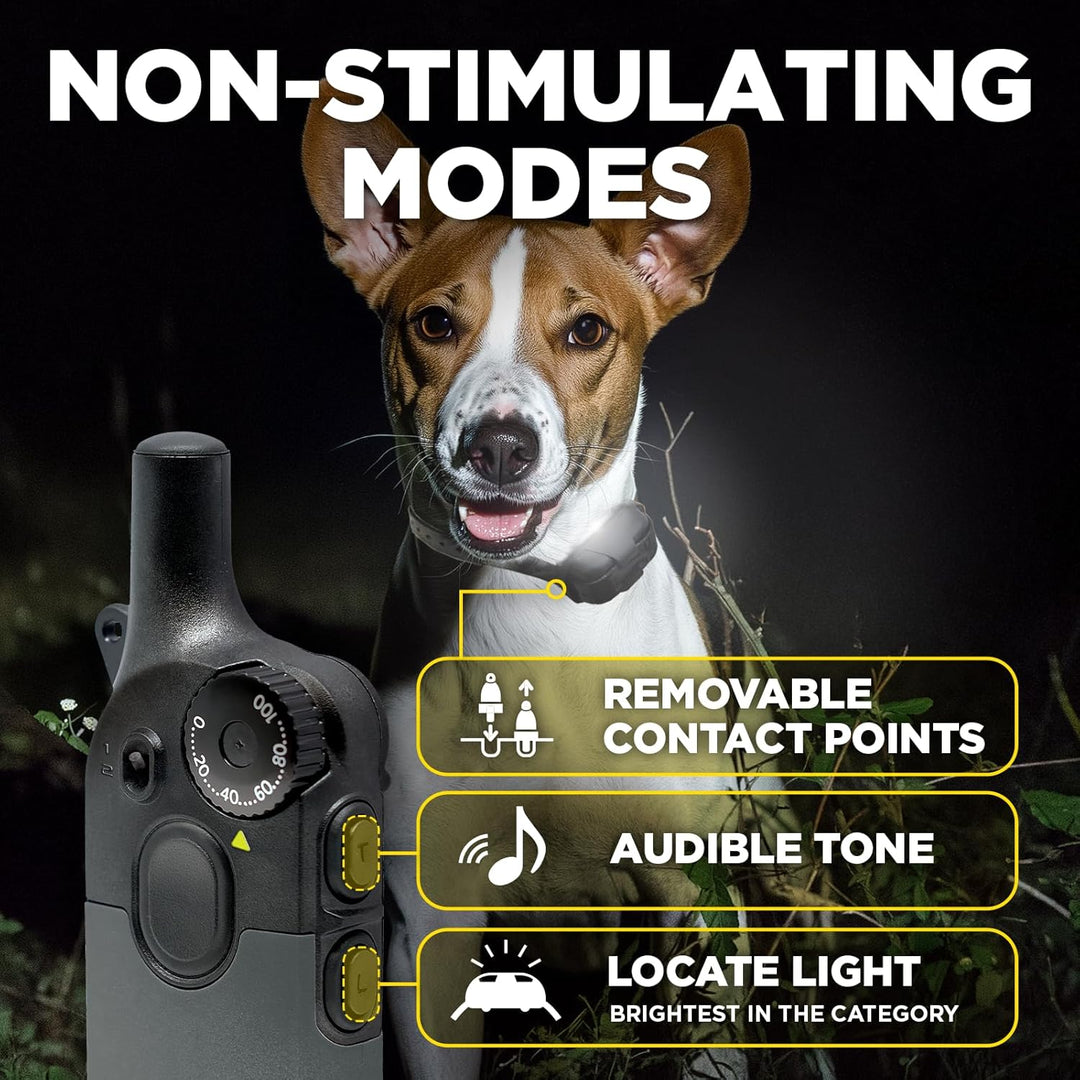 Dogtra 200iQ non-stimulating modes with removable contact points, audible tone, and locate light (the brightest in the category)