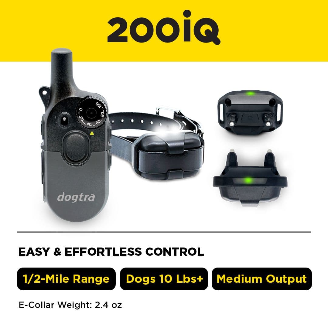 200iQ PRoduct Card.jpg__PID:ee2e43e0-5d13-4739-b7d1-15e60880e185