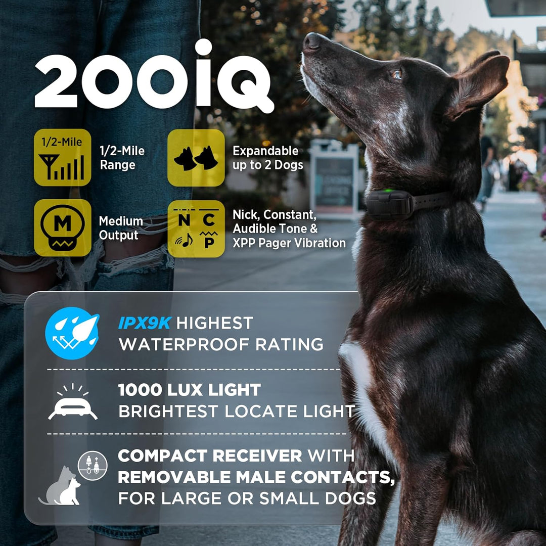 Black dog wearing a Dogtra 200IQ training collar outdoors, with overlay text highlighting 1/2-mile range, expandable to 2 dogs, multiple training modes, waterproof IPX9K rating, and bright locate light