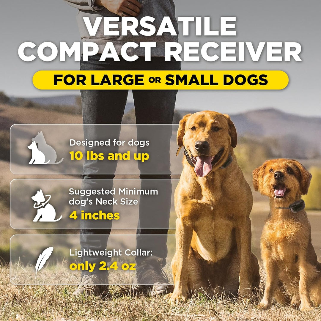 A small and large dog wearing a Dogtra 200iQ training collar, with the versatile compact receiver built for large and small dogs.