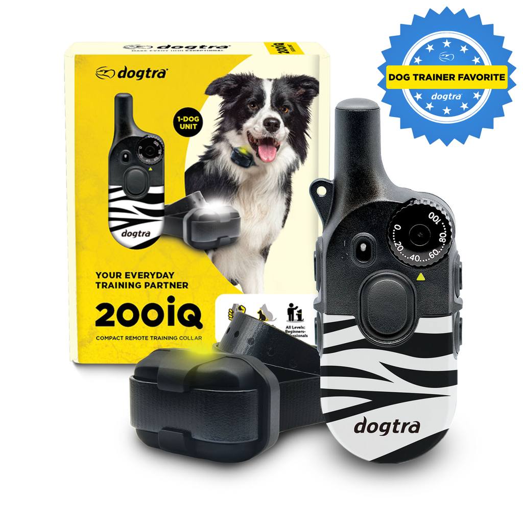 200iQ ZEBRA – Dogtra.com
