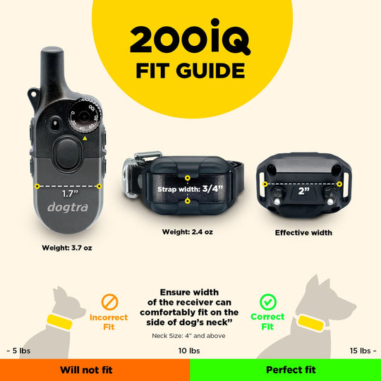 200iq collar fit.jpg__PID:6aca3927-d803-43f7-9f8d-3c57757a4502