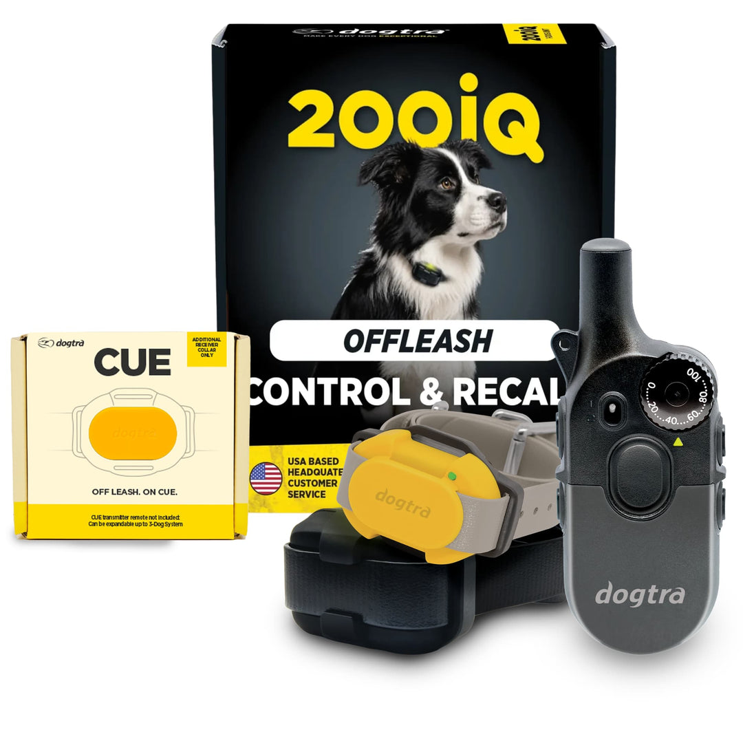 200iQ 2-Dog Bundle with CUE Yellow Receiver