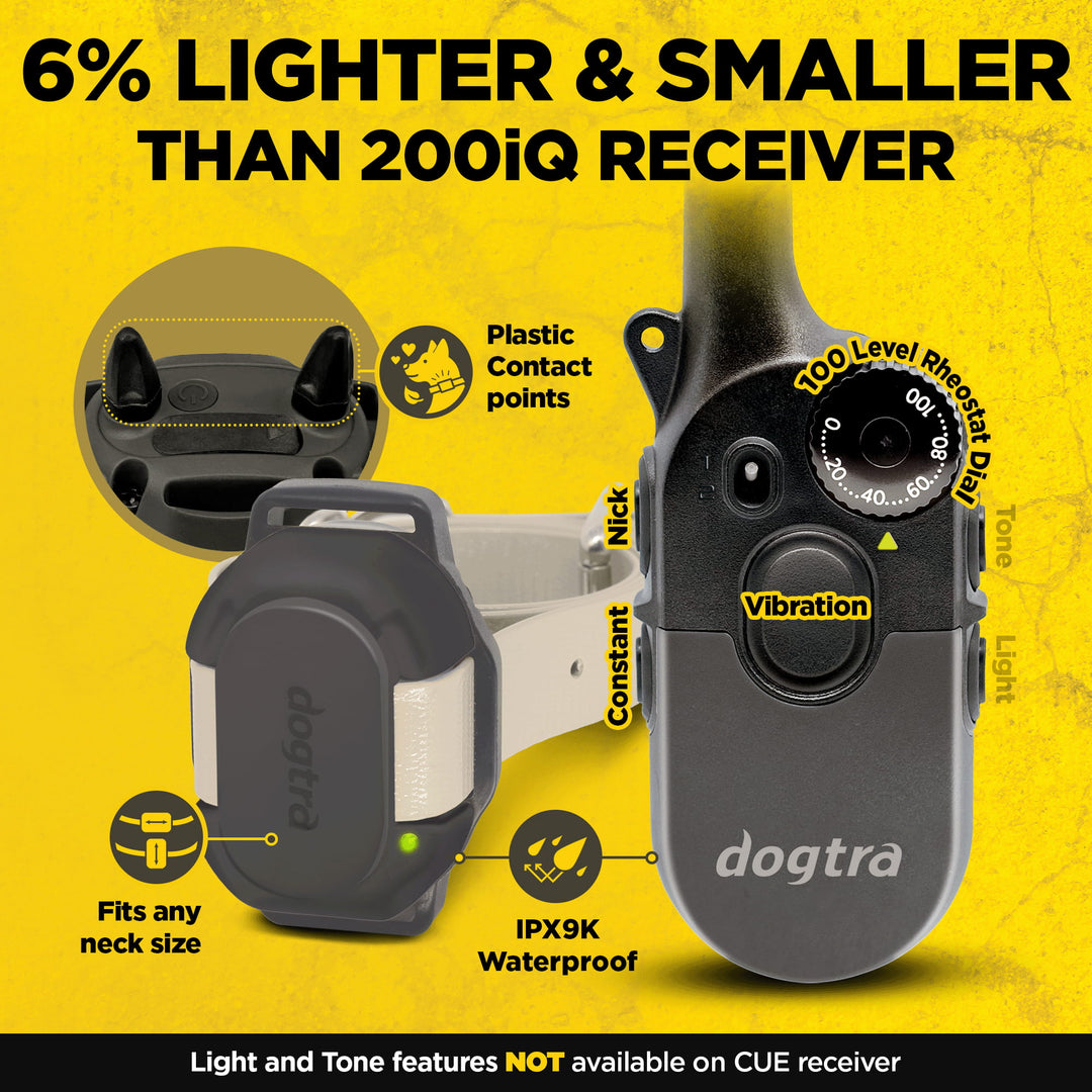 200iQ 2-Dog Bundle with CUE Gen2 Grey Receiver