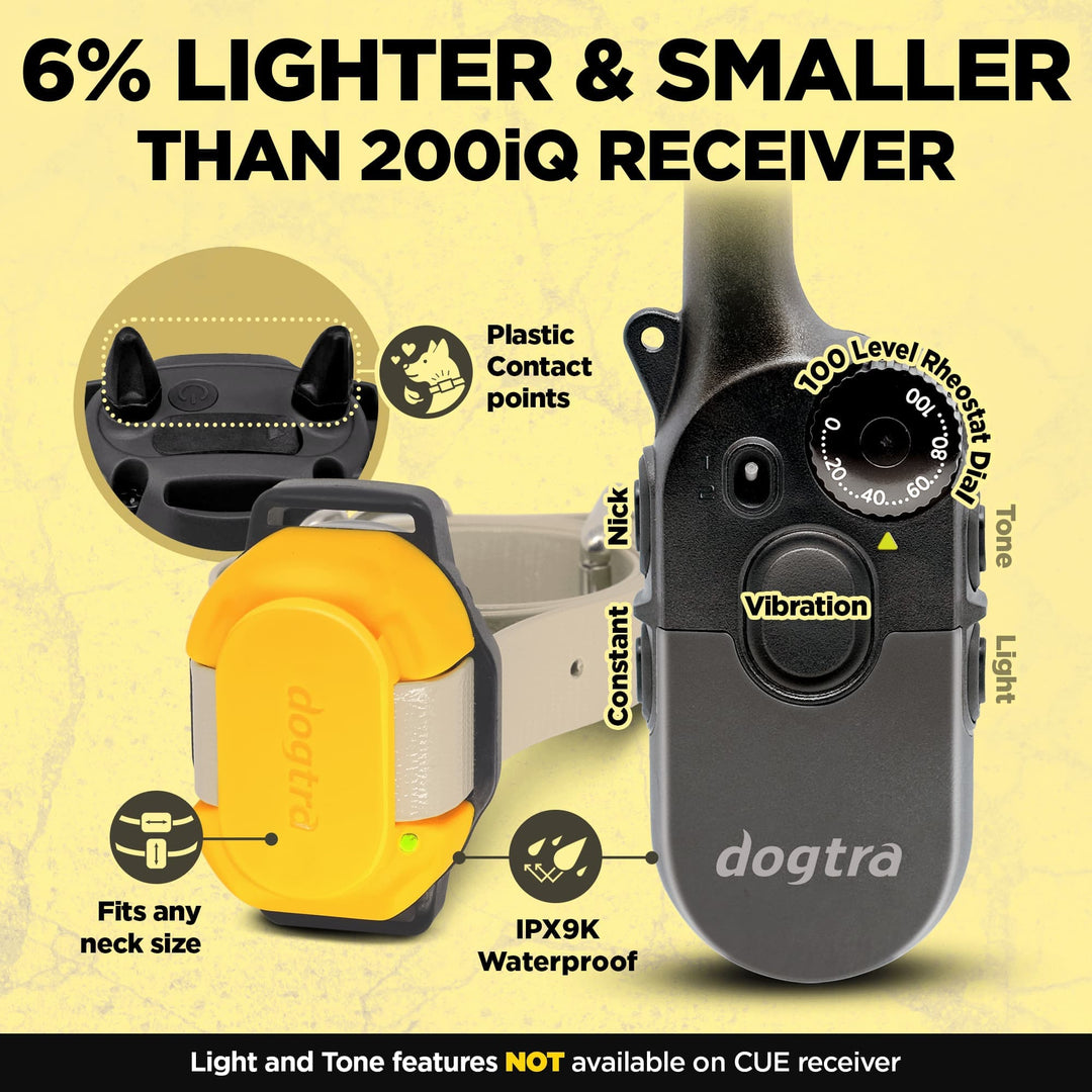 200iQ 2-Dog Bundle with CUE Yellow Receiver