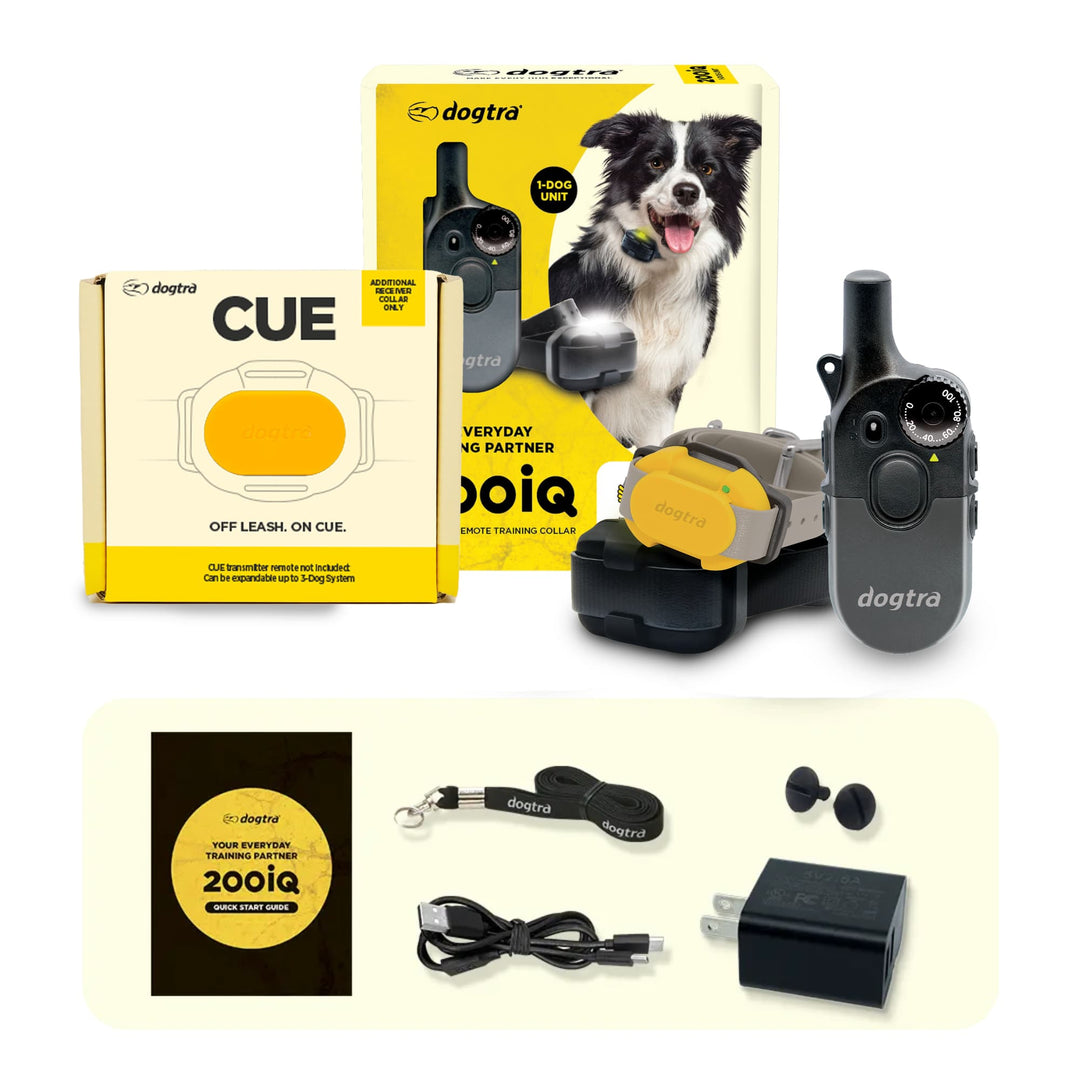 200iQ 2-Dog Bundle with CUE Yellow Receiver
