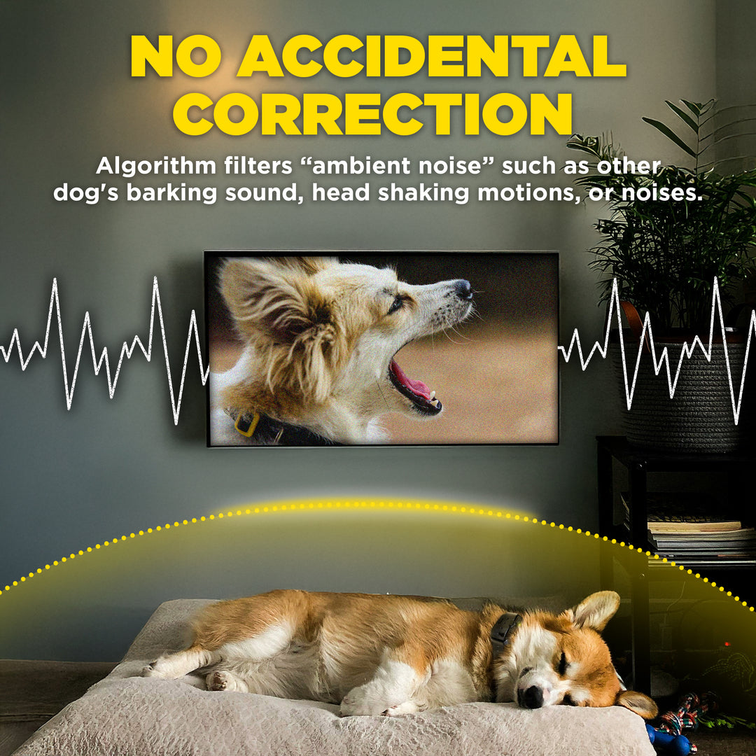 DOGTRA SMART NOBARK
