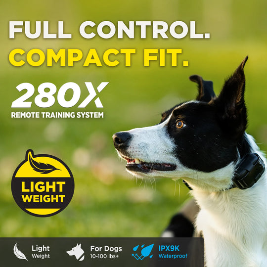 A black and white dog wearing a remote training collar on a green grassy background, with promotional text reading 'FULL CONTROL. COMPACT FIT.'