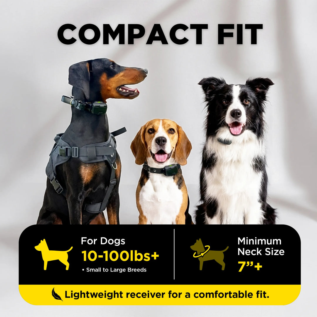 Three dogs wearing dog neck harnesses are shown against a light gray background with text reading 'COMPACT FIT' and product fit details for dogs 10-100 lbs+ and minimum neck size 7 inches.