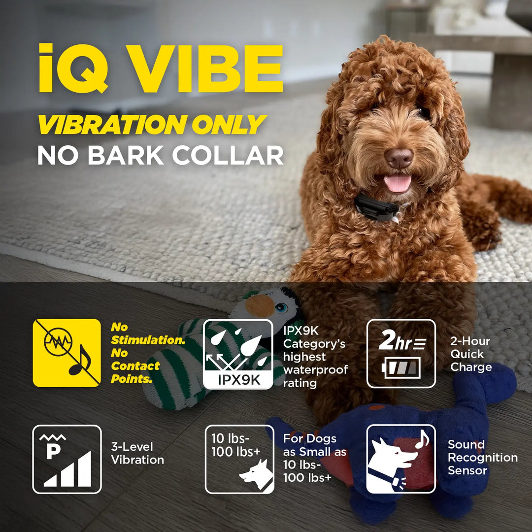 iQ VIBE Dogtra.com iQ VIBE Dogtra.com