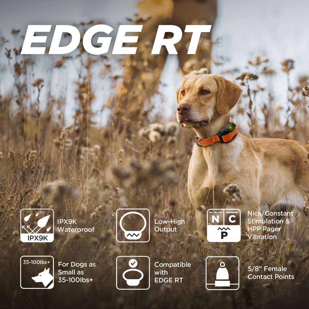EDGE RT ADDITIONAL RECEIVER - ORANGE