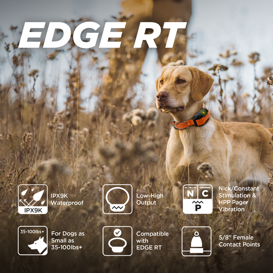 EDGE RT ADDITIONAL RECEIVER - ORANGE