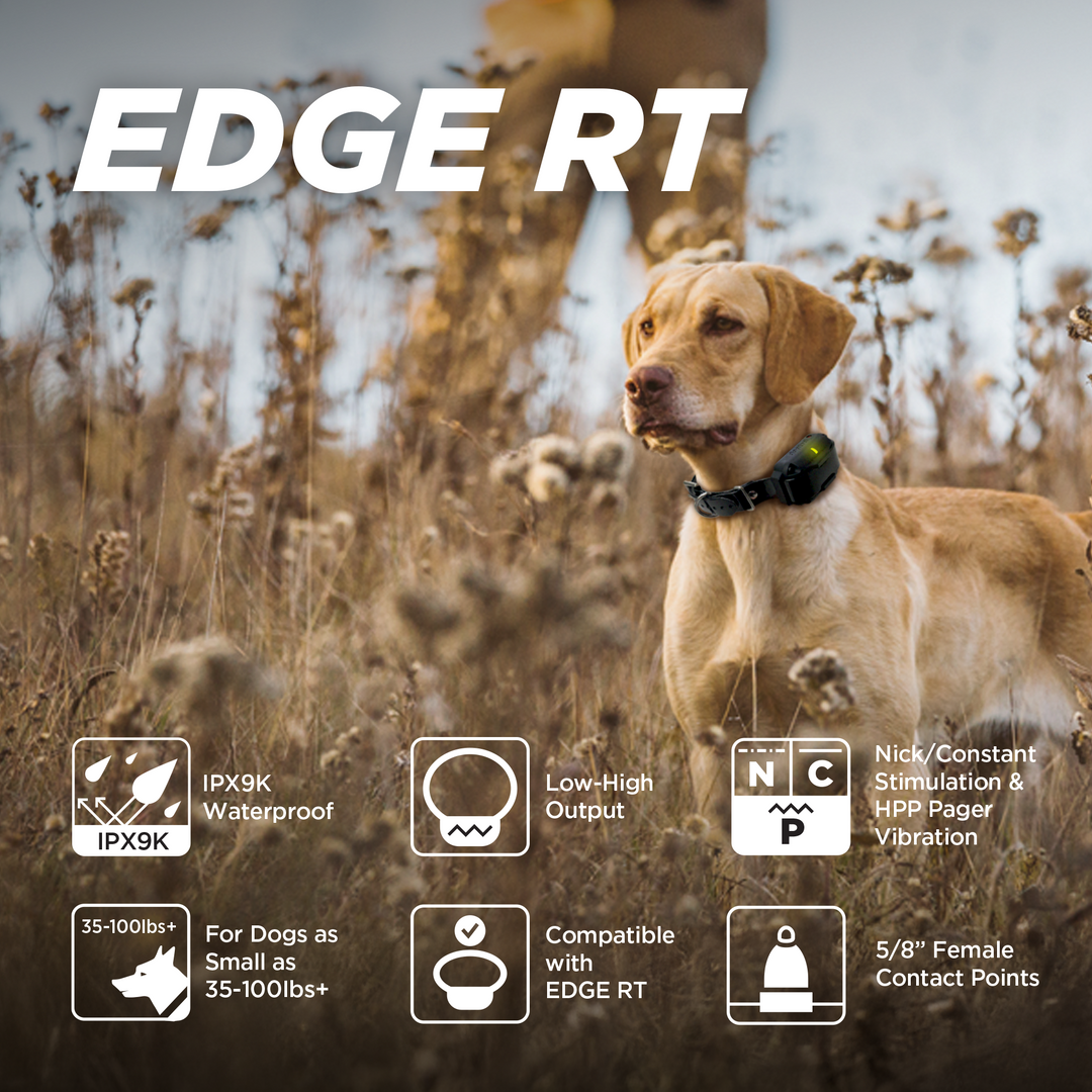 EDGE RT ADDITIONAL RECEIVER - BLACK