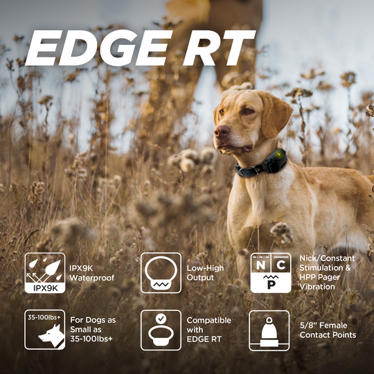 EDGE RT ADDITIONAL RECEIVER - BLACK