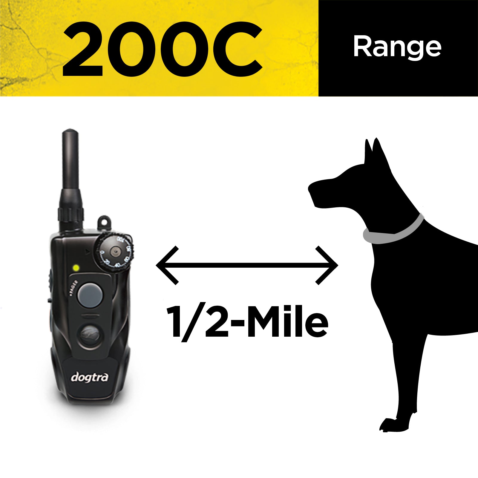 Fashion dogtra remote