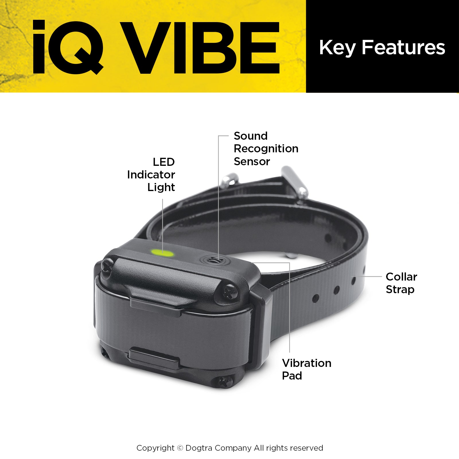 iQ VIBE Dogtra.com iQ VIBE Dogtra.com