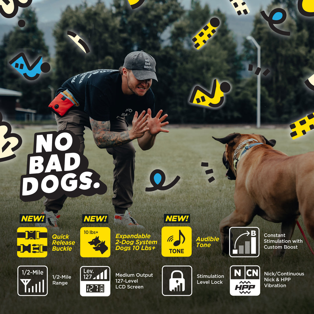 TOM DAVIS EDITION 280C 2.0 + FREE DOGTRA TREAT BAG