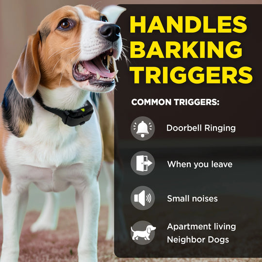 DOGTRA SMART NOBARK