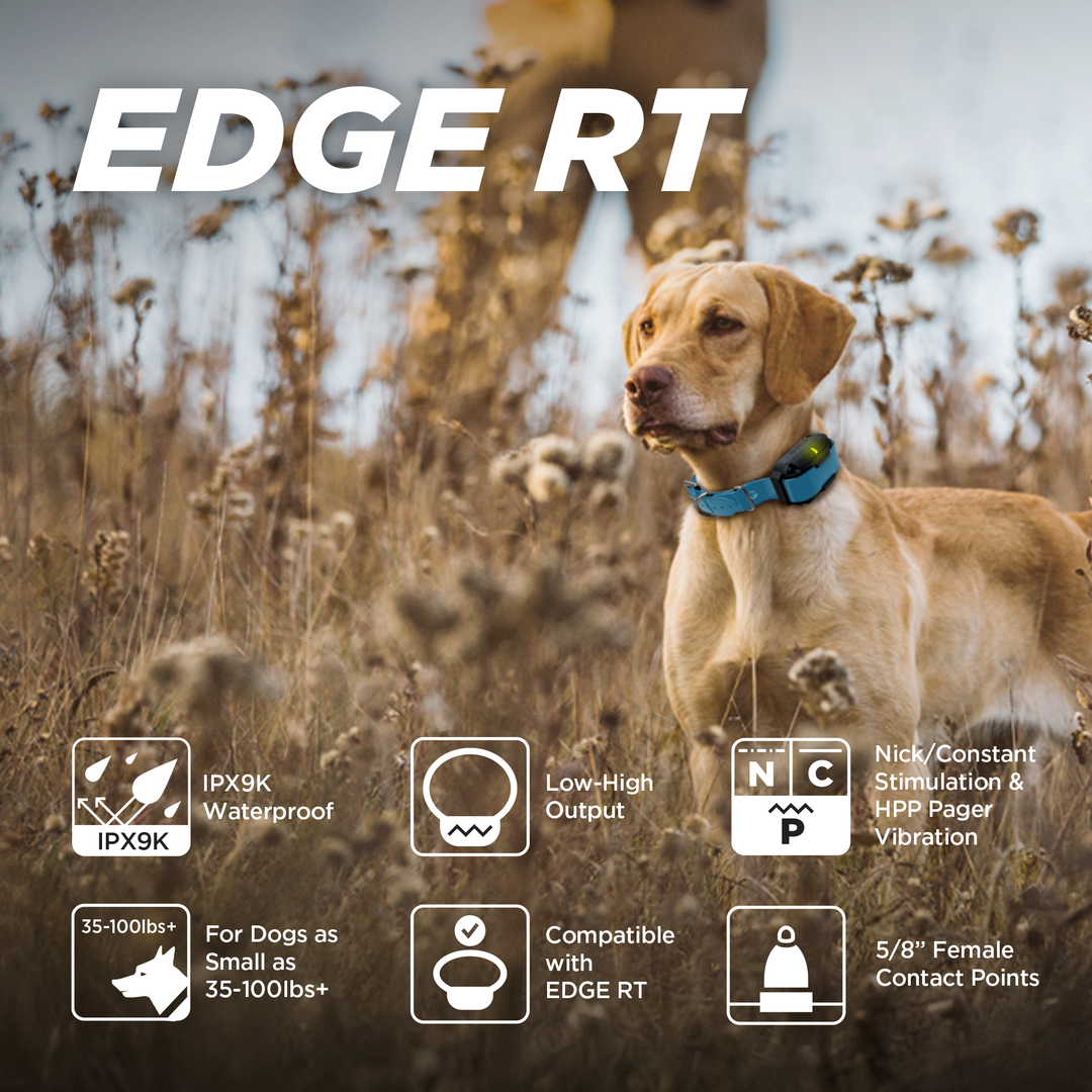 EDGE RT ADDITIONAL RECEIVER - BLUE