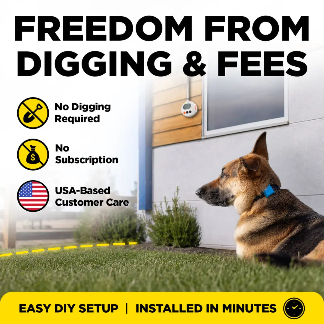 Dog sitting in the backyard with a Control Station on the wall for easy setup and installed in minutes
