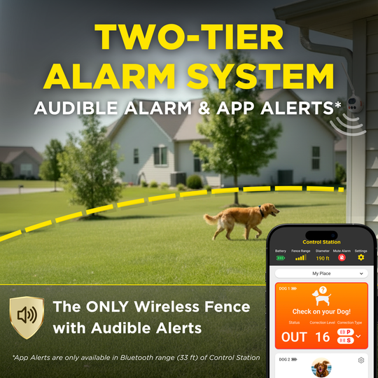 DOGTRA SMART FENCE + ORANGE TRAINING FLAGS BUNDLE