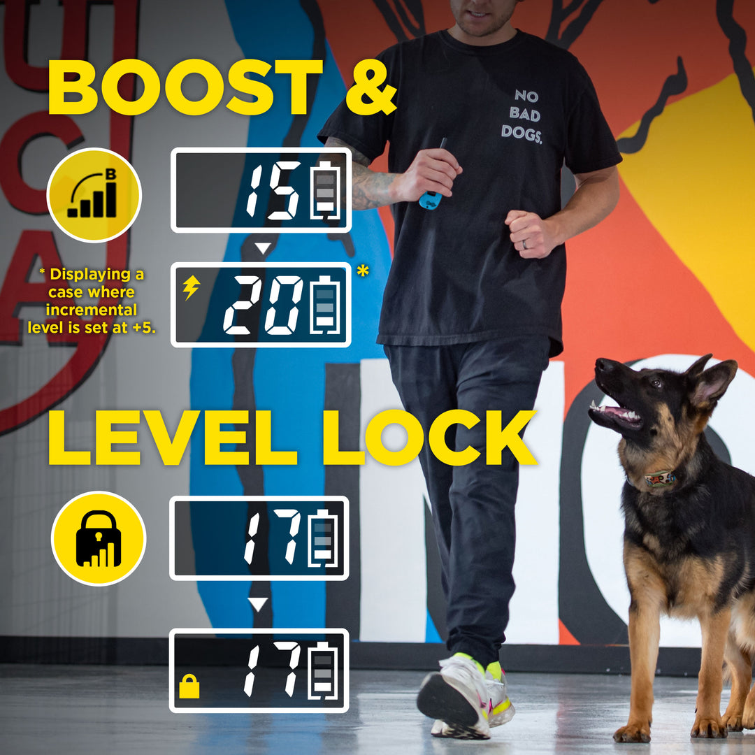 TOM DAVIS EDITION 280C 2.0 + FREE DOGTRA TREAT BAG