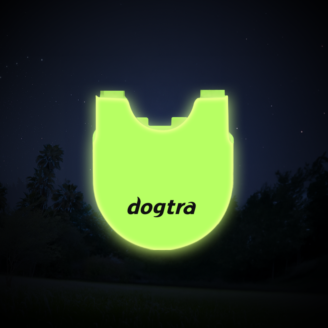 200iQ CASE GLOW