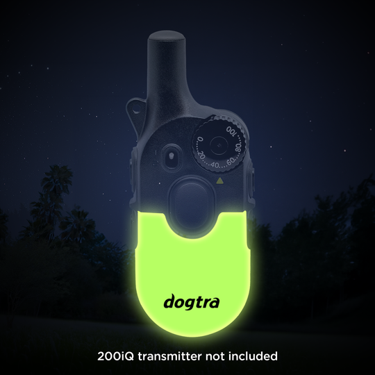 200iQ CASE GLOW