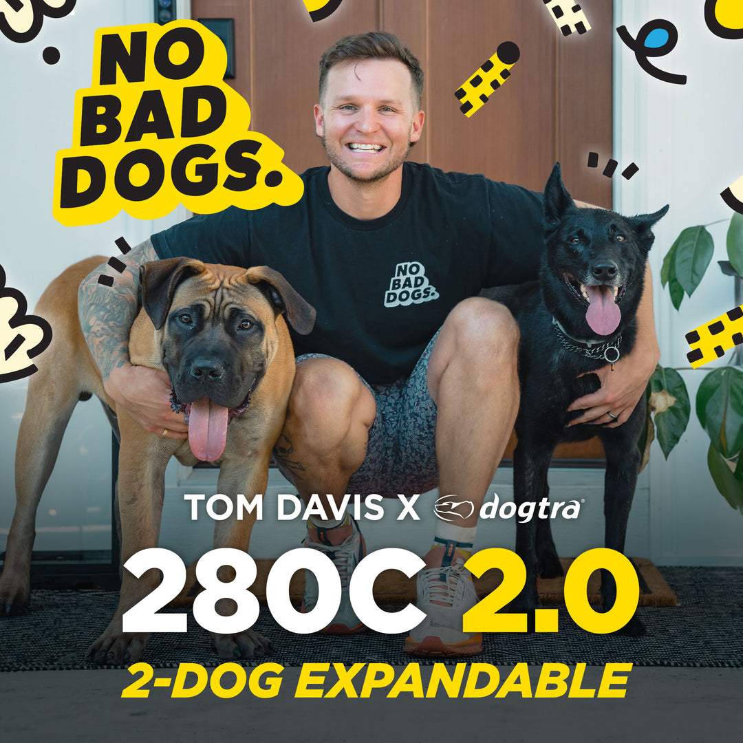 TOM DAVIS EDITION 280C 2.0 + FREE DOGTRA TREAT BAG