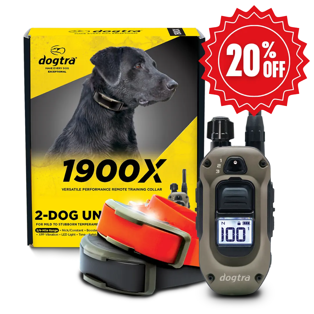 1900X 2-DOG UNIT