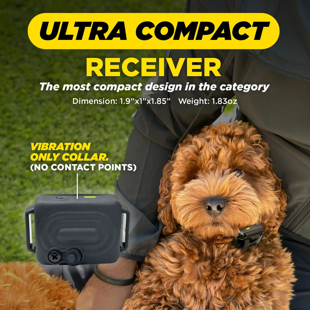 iQ VIBE Dogtra.com iQ VIBE Dogtra.com