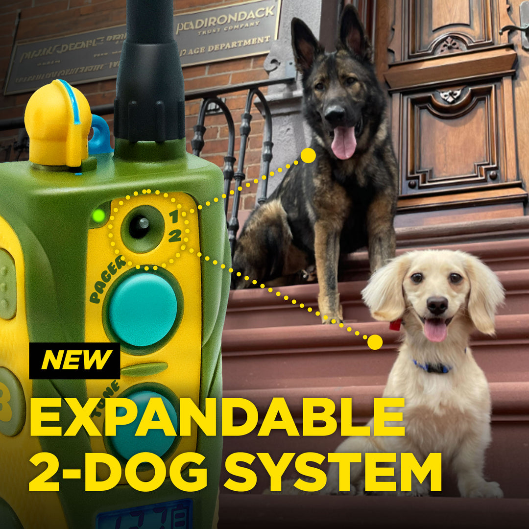 TOM DAVIS EDITION 280C 2.0 + FREE DOGTRA TREAT BAG