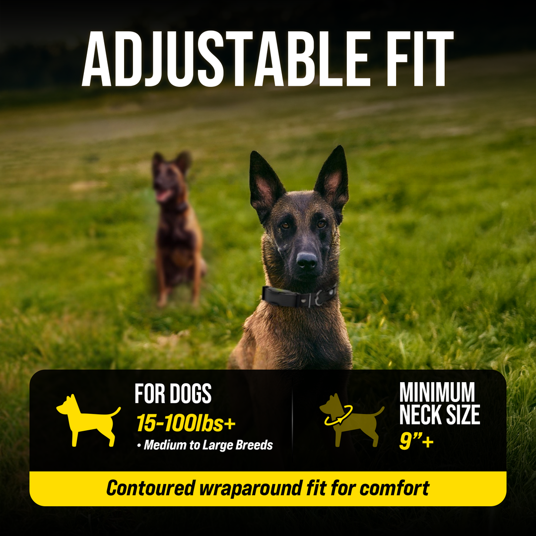 ARC-X 1-DOG UNIT
