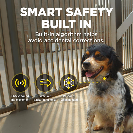 DOGTRA SMART NOBARK