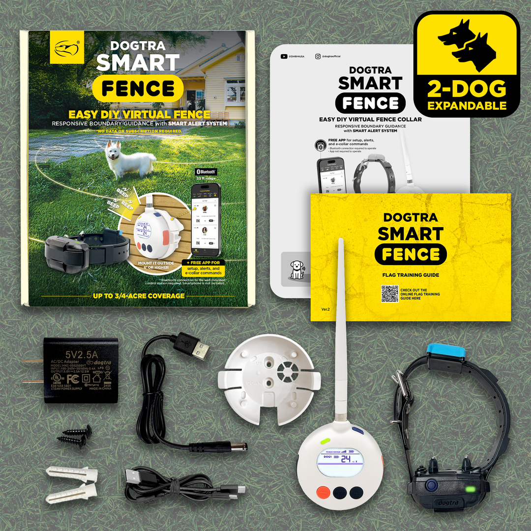 DOGTRA SMART FENCE + ORANGE TRAINING FLAGS BUNDLE