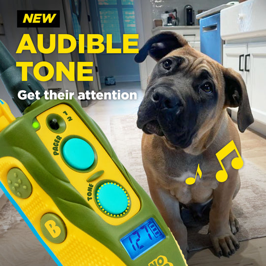 TOM DAVIS EDITION 280C 2.0 + FREE DOGTRA TREAT BAG