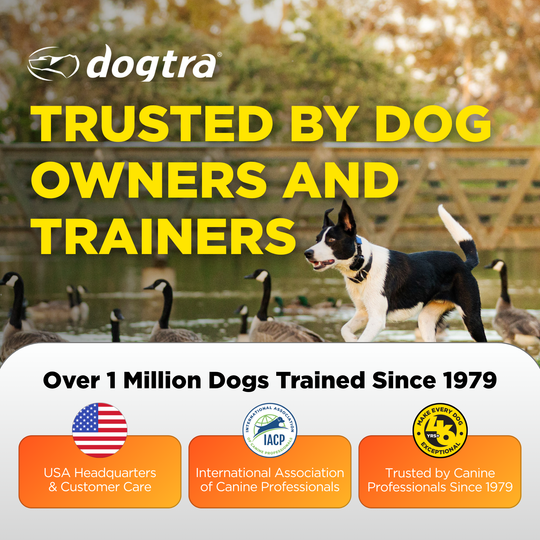 DOGTRA SMART FENCE + ORANGE TRAINING FLAGS BUNDLE