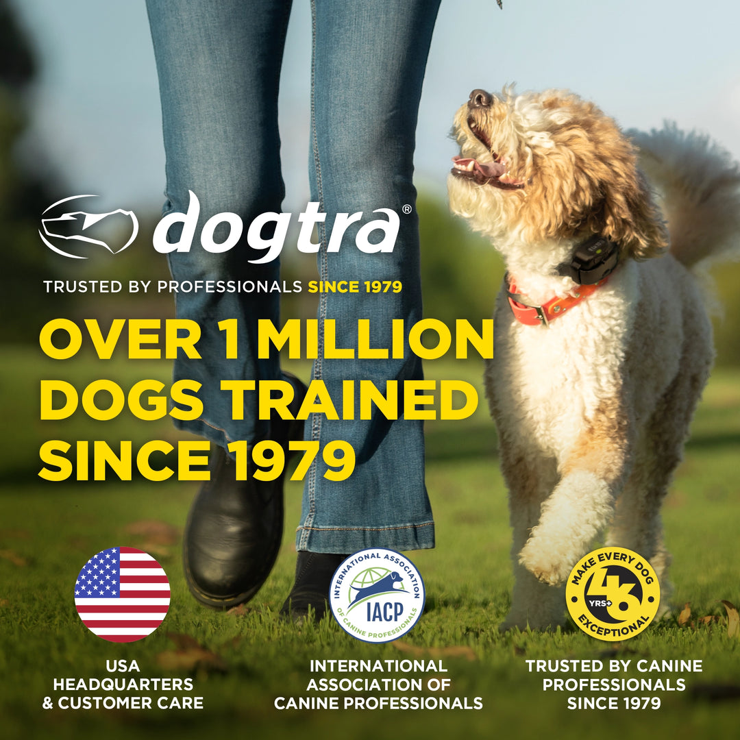 DOGTRA SMART NOBARK